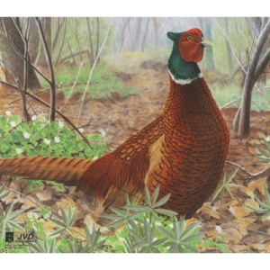 Мишень "Фазан" JVD ANIMAL FACE PHEASANT