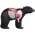 3D-мишень "Медведь" RINEHART ANATOMY BEAR