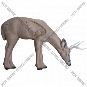 3D-мишень "Пасущийся олень" RINEHART BUCK (BROADHEAD)