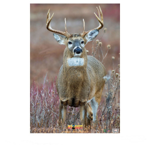 Мишень "Олень" NICE TARGETS ANIMAL FACE DEER STRAIGHT ON 