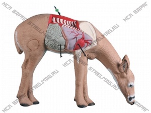 3D-мишень "Олень" RINEHART ANATOMY DEER