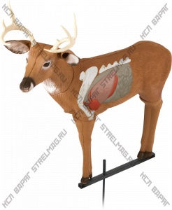 3D мишень "Олень" DELTA MCKENZIE TARGET 3D RIVERBOTTOM SERIES ARCHER'S CHOICE REAL-WORLD BUCK