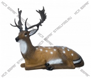 3D мишень "Лежащий олень-самец" SRT TARGET 3D BEDDED FALLOW DEER