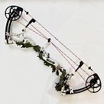 Б/У Блочный лук Bear Motive