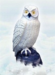 3D мишень "Белая сова" SRT TARGET 3D WHITE OWL