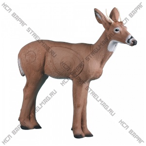 3D-мишень "Олененок" RINEHART SPIKE BUCK