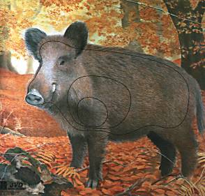 Мишень "Дикий кабан" JVD ANIMAL FACE WILD BOAR